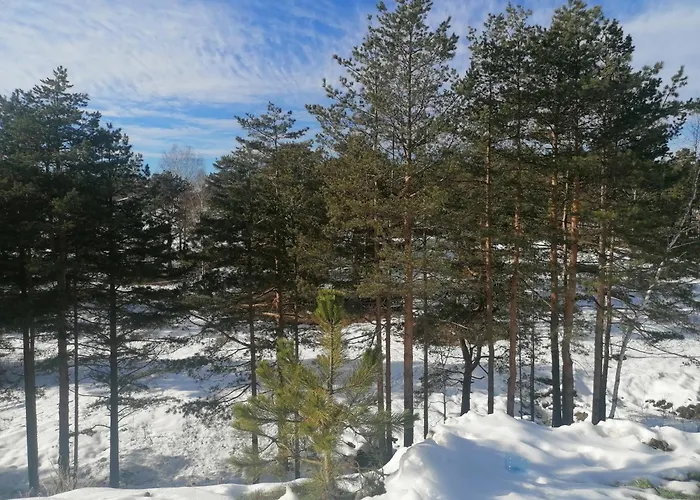 Апартаменты Divcinova Gnezdo Дивчибаре